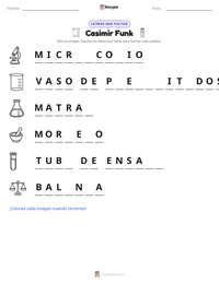 Vista previa de la hoja de trabajo imprimible de Casimir Funk