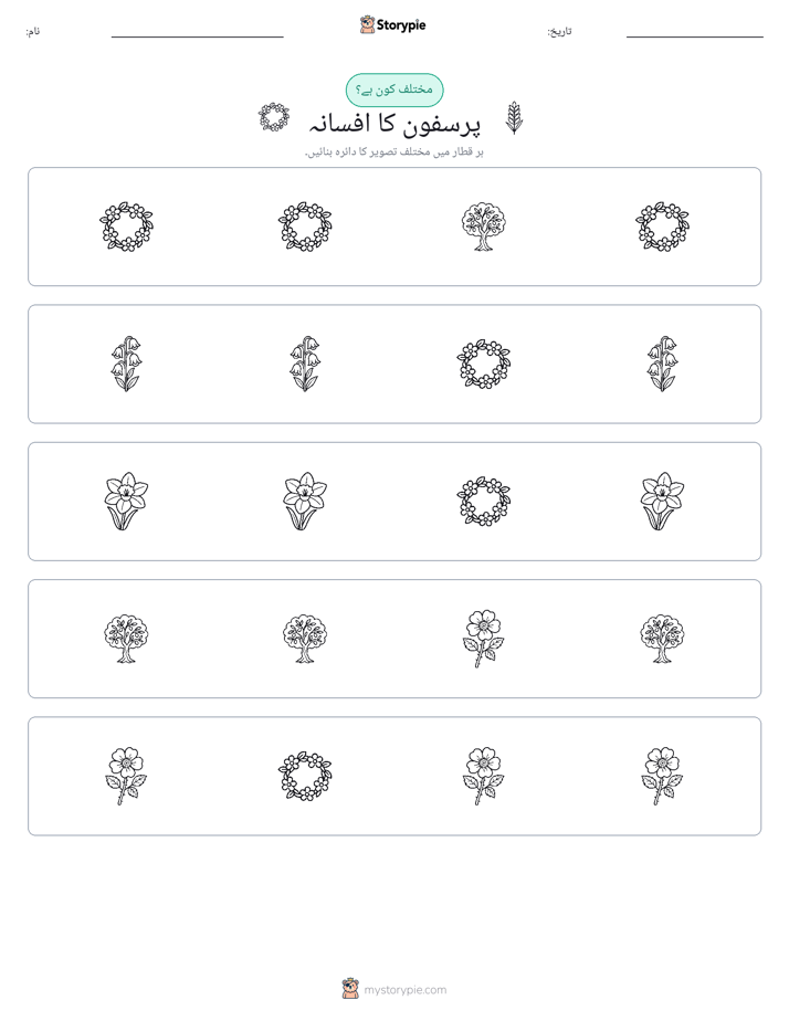 عجیب ایک