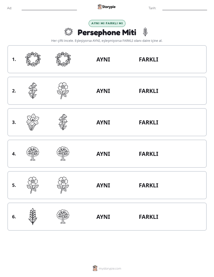Aynı mı Farklı mı