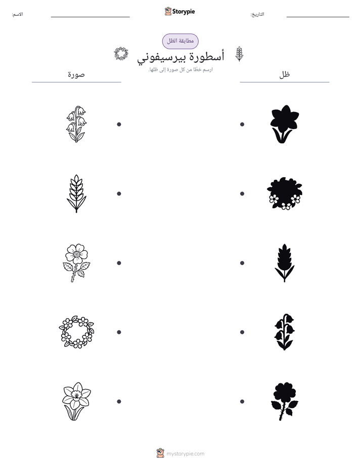 مطابقة الظل