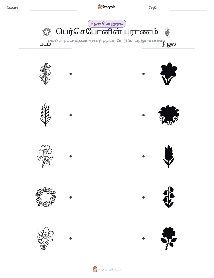 நிழல் பொருத்தம்