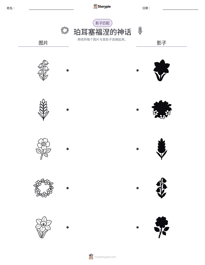 影子匹配