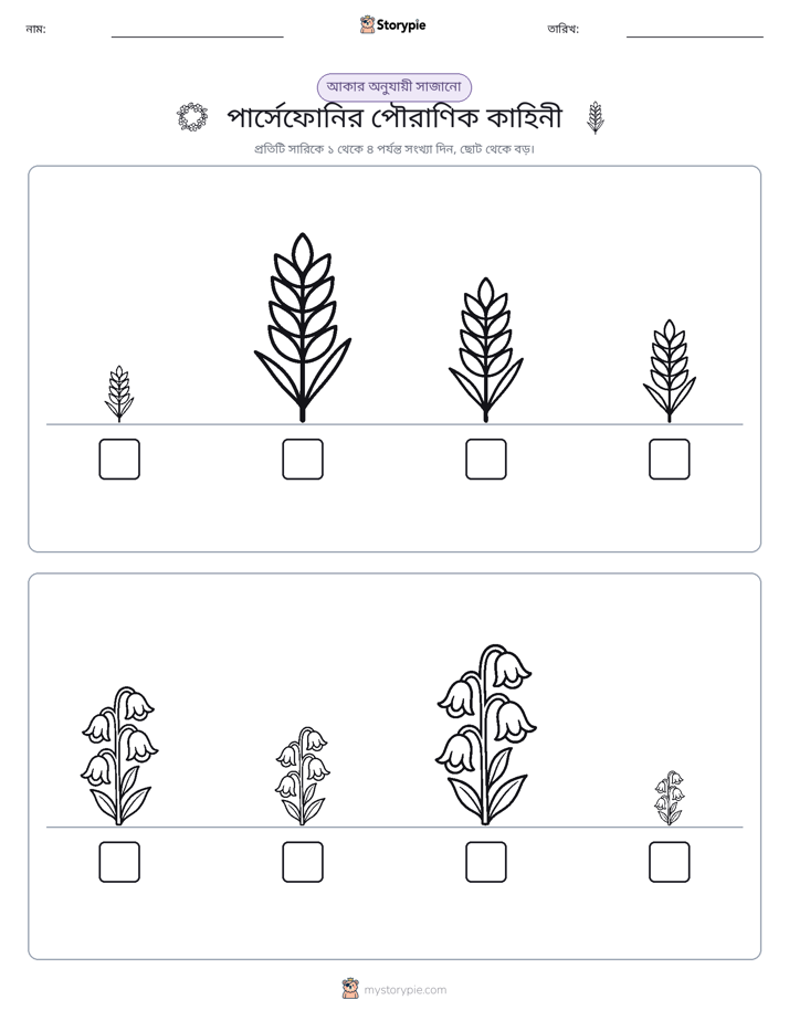 আকারের ক্রম
