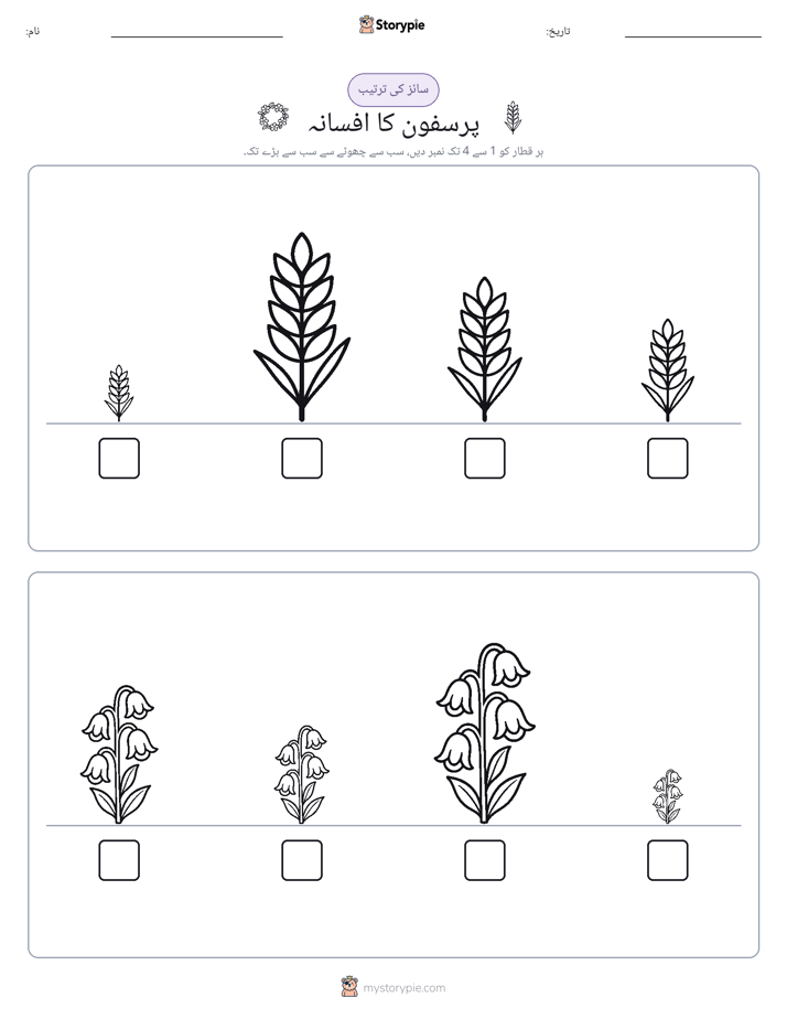سائز کی ترتیب