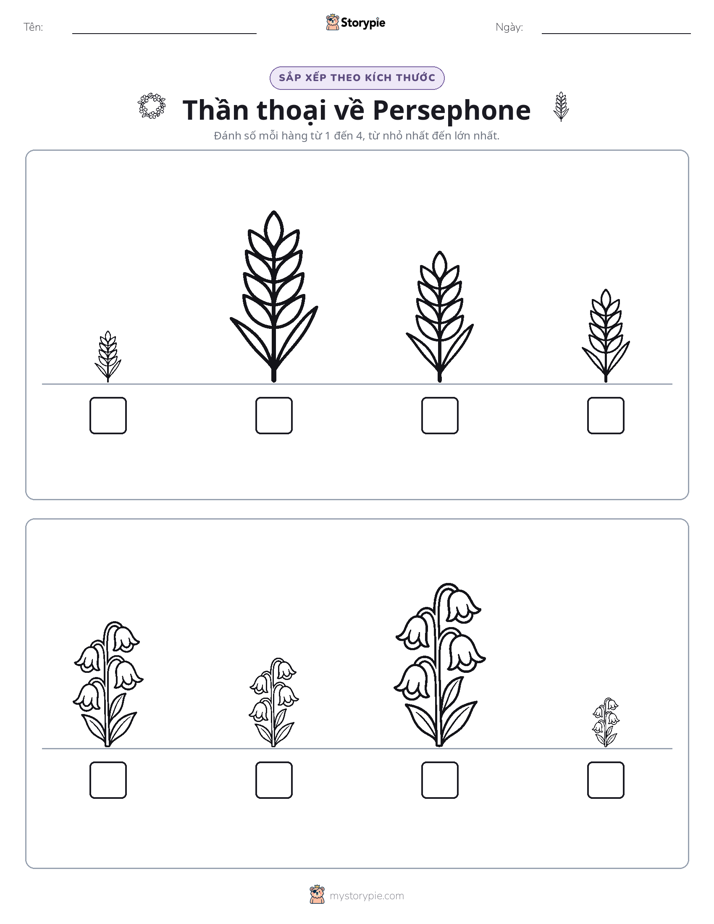 Thứ Tự Kích Thước