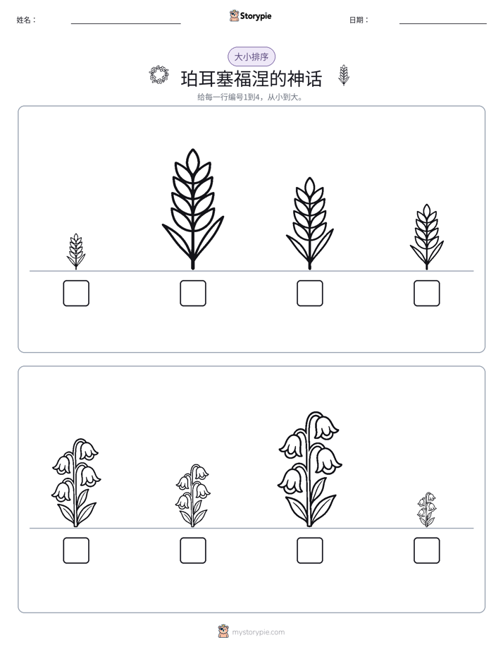 大小排序