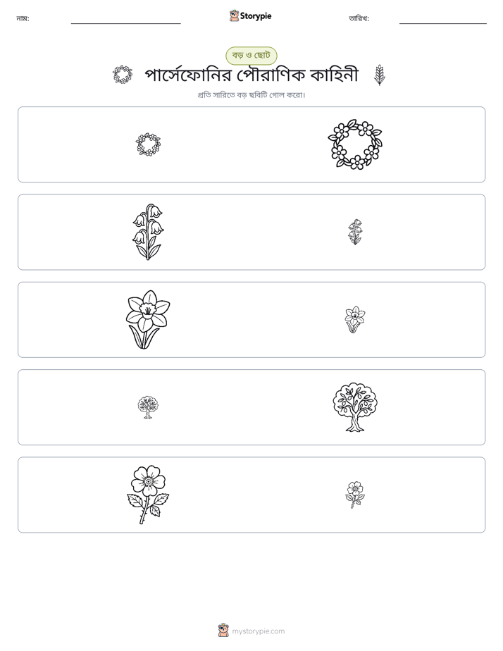সাজানো