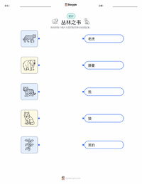 丛林之书 可打印工作表预览