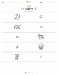 丛林之书 可打印工作表预览