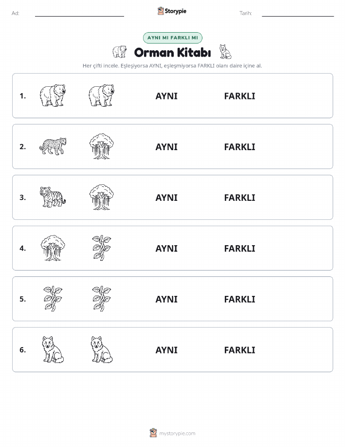 Aynı mı Farklı mı