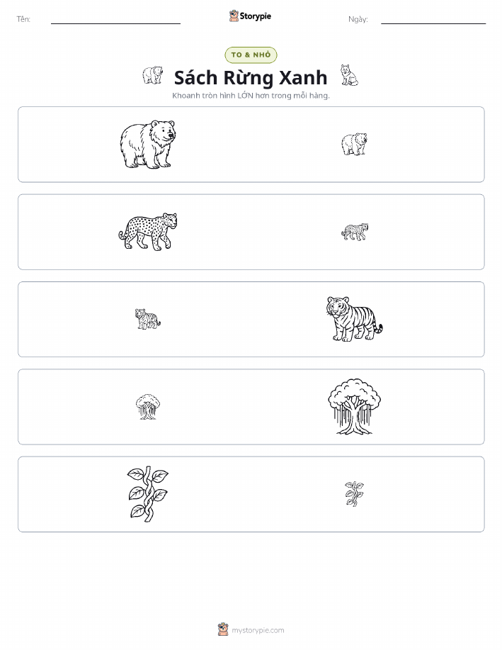 Phân Loại