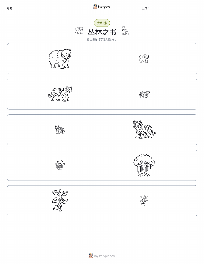 分类