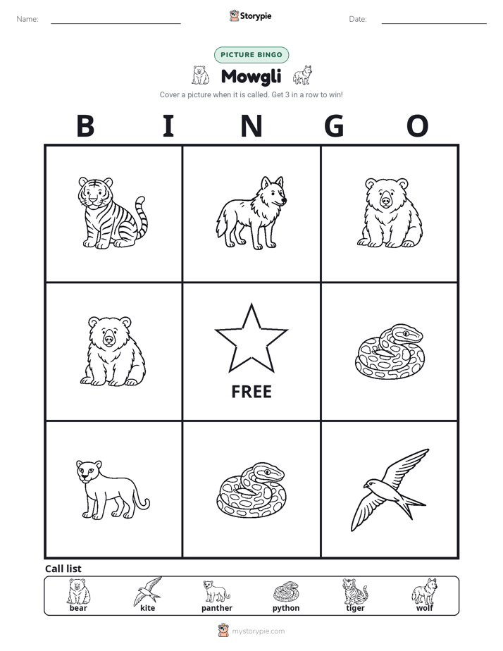 Picture Bingo