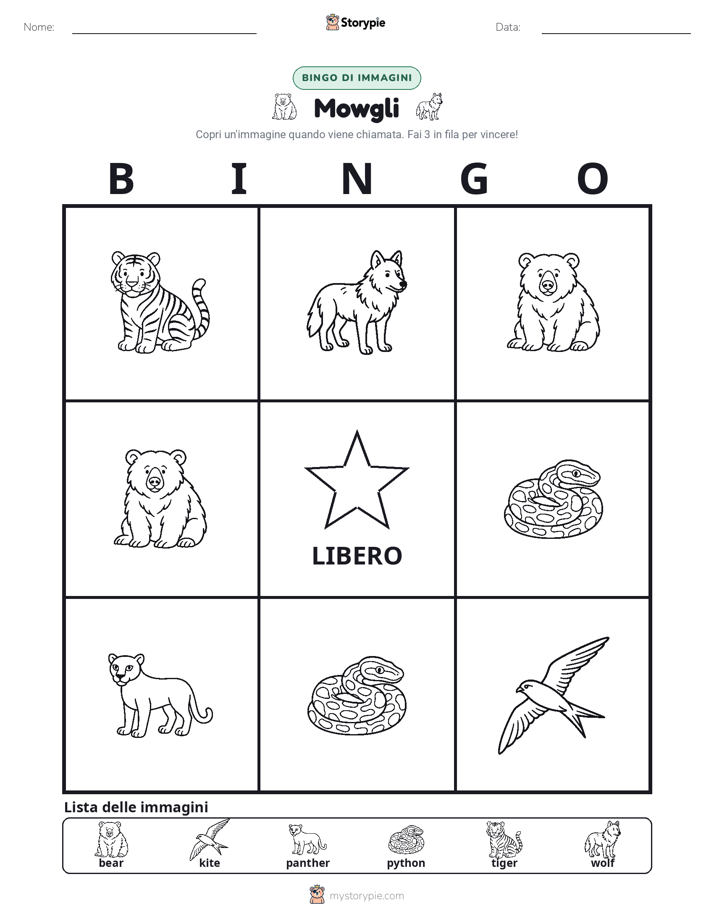 Bingo delle Immagini