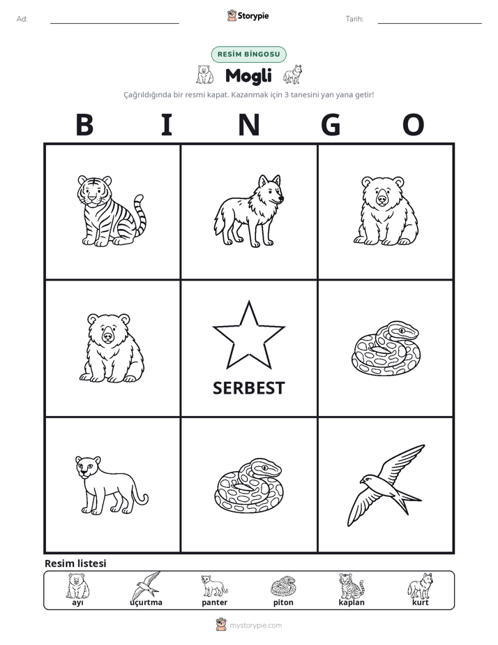 Resim Bingo