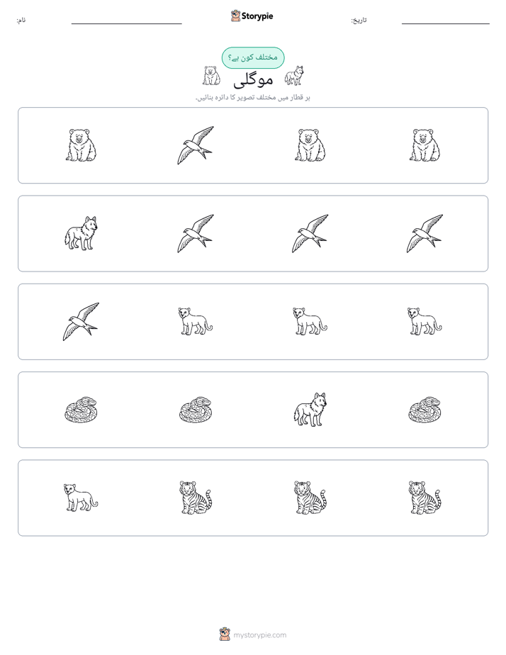عجیب ایک