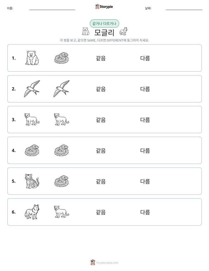 같은 것 또는 다른 것