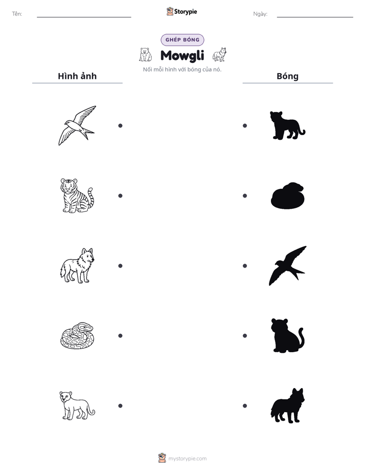 Ghép Hình Bóng