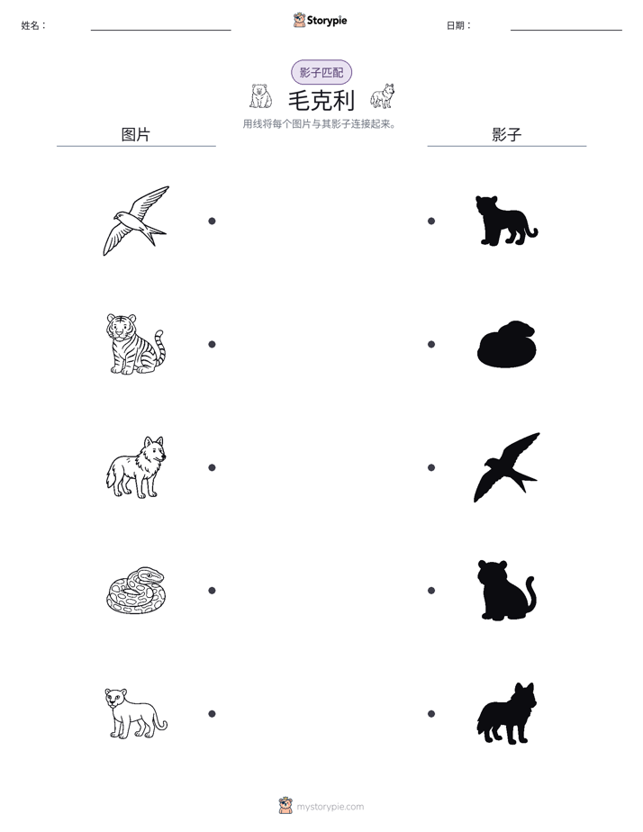 影子匹配
