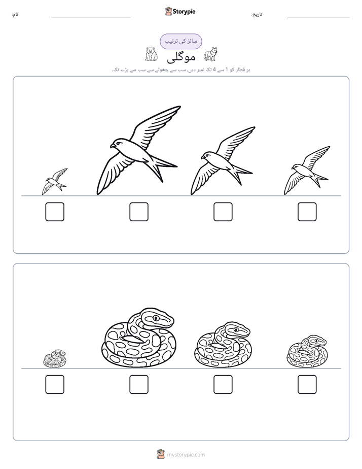 سائز کی ترتیب