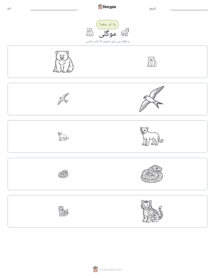 ترتیب دینا