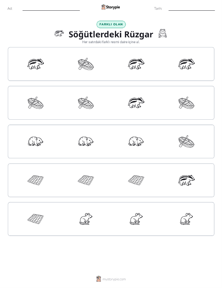 Farklı Olanı Bul