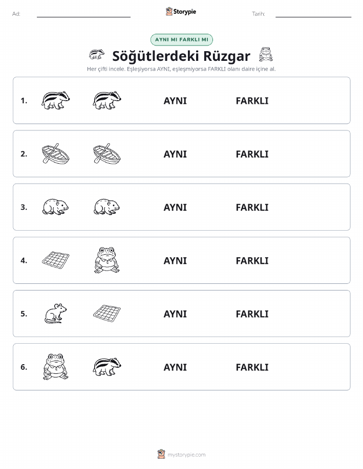 Aynı mı Farklı mı