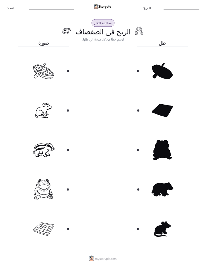 مطابقة الظل
