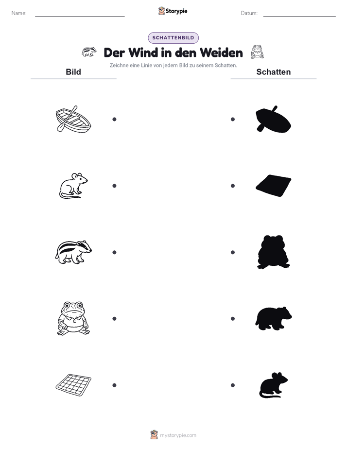 Schattenmatch