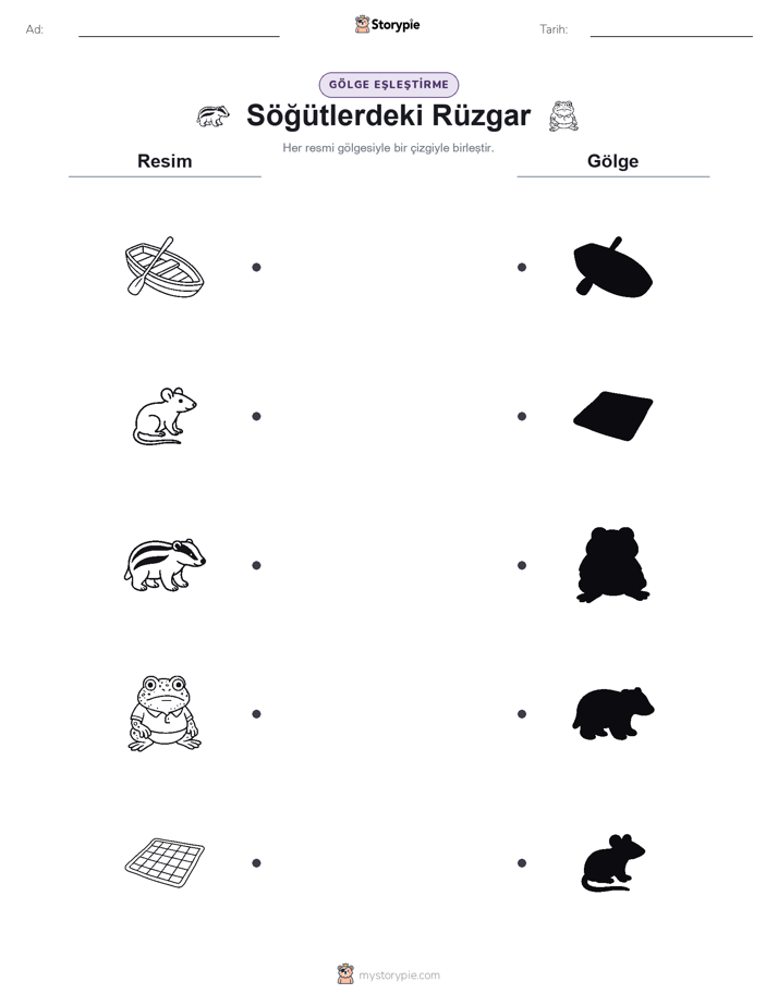 Gölge Eşleştirme