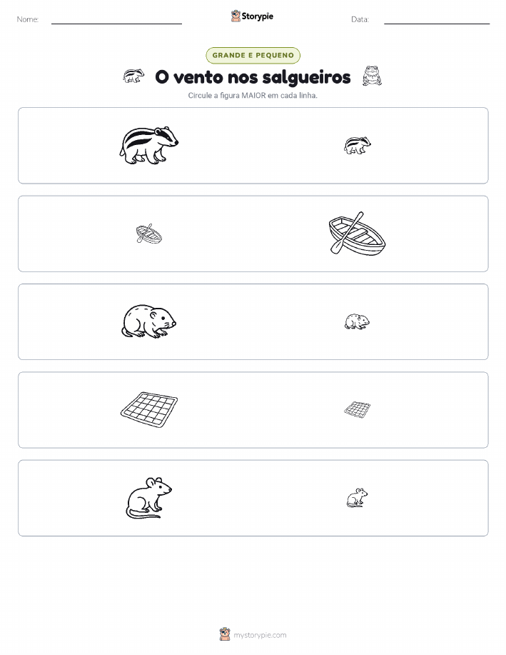 Classificação