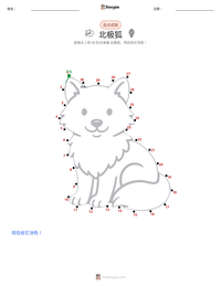 北极狐 可打印工作表预览