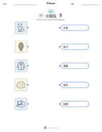北极狐 可打印工作表，适合儿童