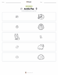Arctic Fox printable worksheet preview