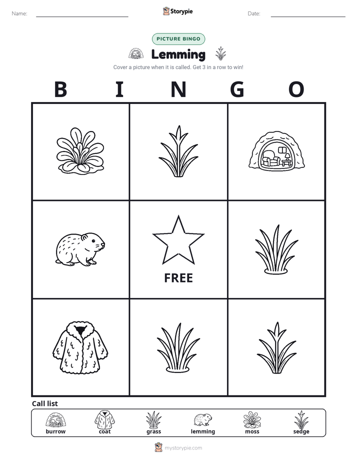 Picture Bingo