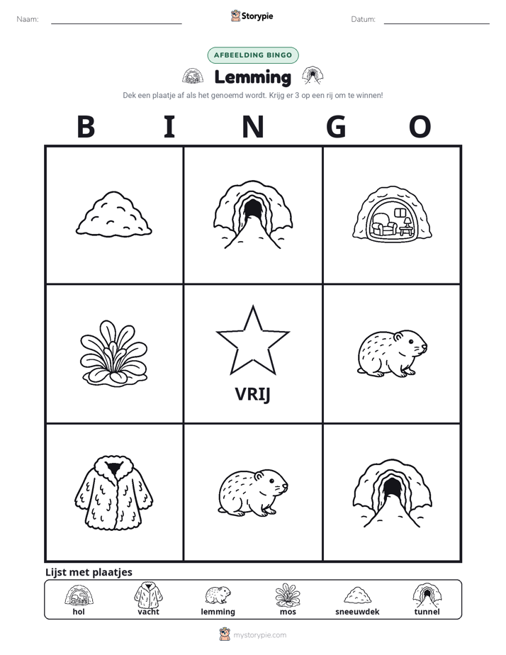 Afbeelding Bingo