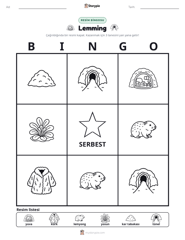 Resim Bingo