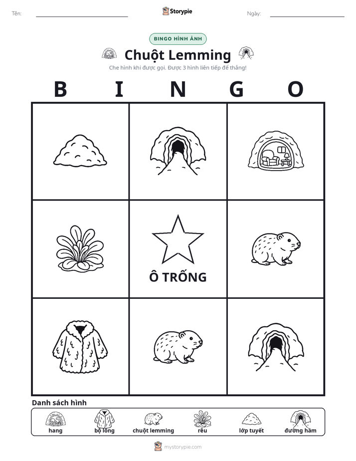 Bingo Hình Ảnh