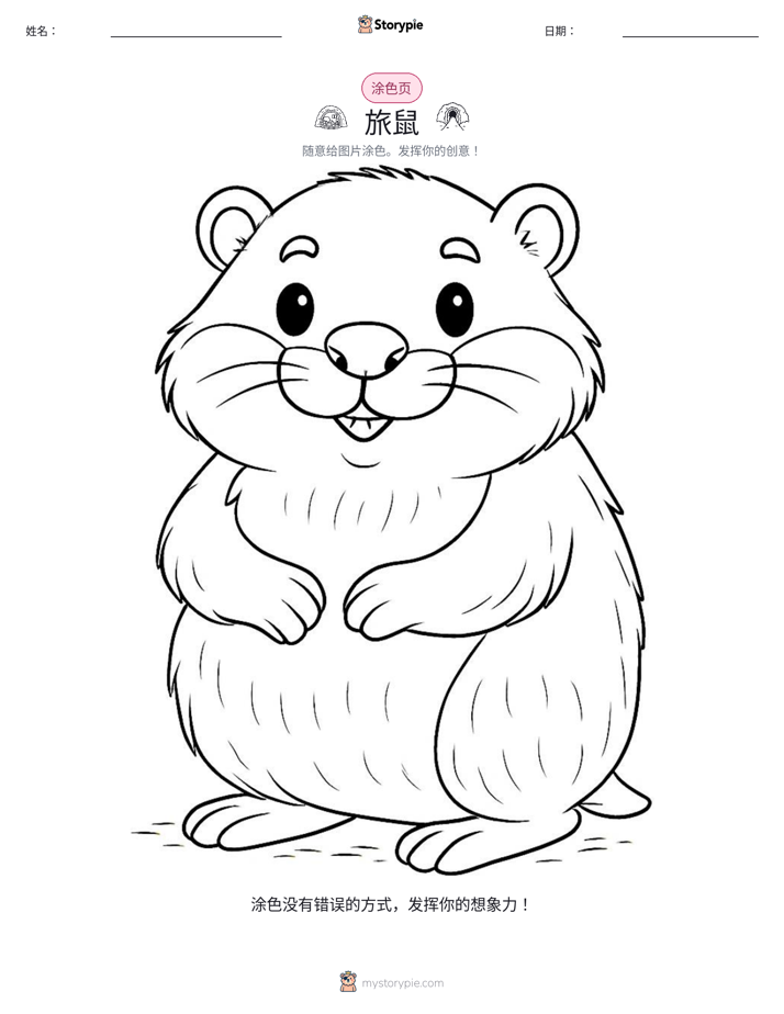 涂色页