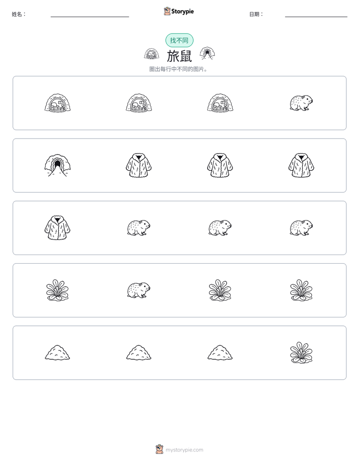 找不同