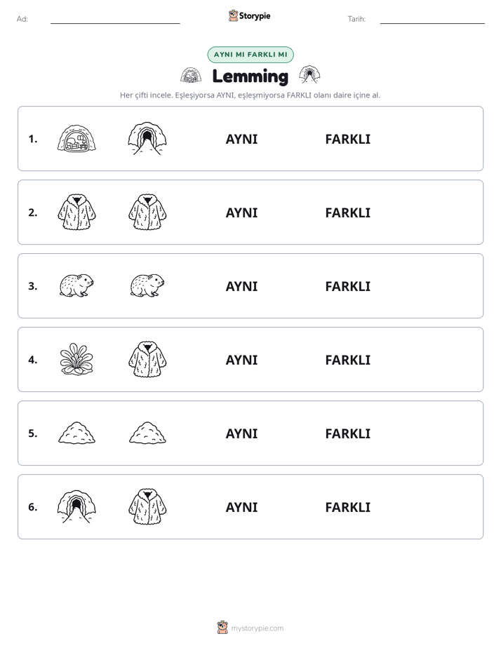 Aynı mı Farklı mı
