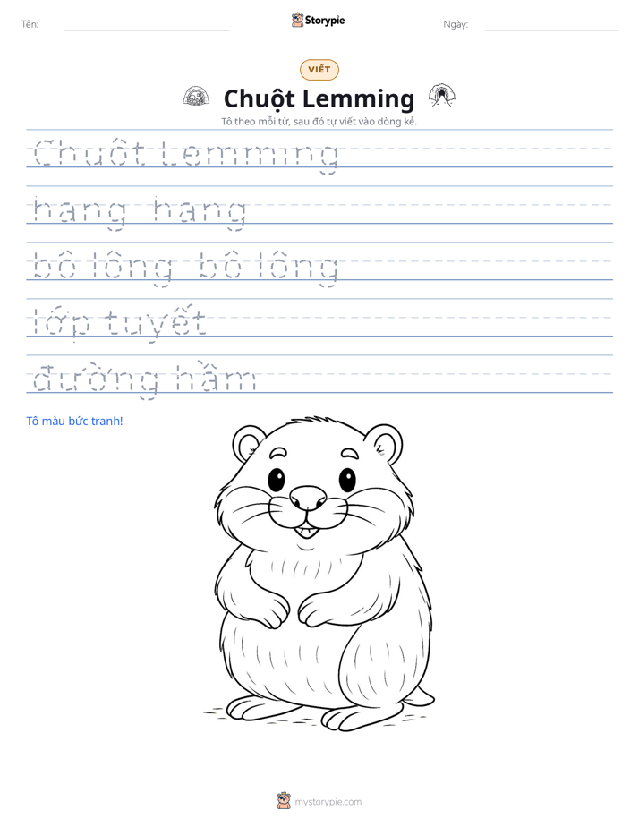 Luyện Viết