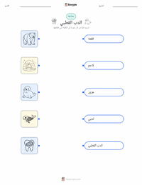 ورقة عمل قابلة للطباعة الدب القطبي للأطفال