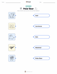 Polar Bear printable worksheet for kids
