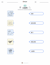 北极熊 可打印工作表，适合儿童