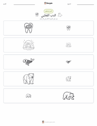 معاينة ورقة العمل القابلة للطباعة الدب القطبي