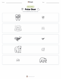 Polar Bear printable worksheet preview