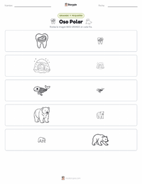Vista previa de la hoja de trabajo imprimible de Oso Polar