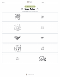 Prévia da folha de atividades imprimível Urso Polar