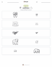 หมีขั้วโลก ตัวอย่างแบบฝึกหัดที่พิมพ์ได้
